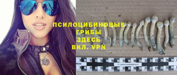 не бодяженный Ладушкин
