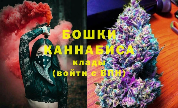 сатива Лагань